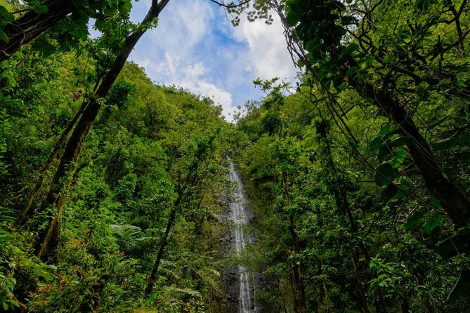 Self guided Hike Trail to Nature Walk & Waterfall - Who should book this hike?