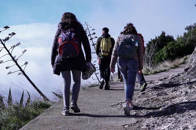 Semi-Private Montserrat Monastery & Hiking Experience - Why the $89.49 price can make sense