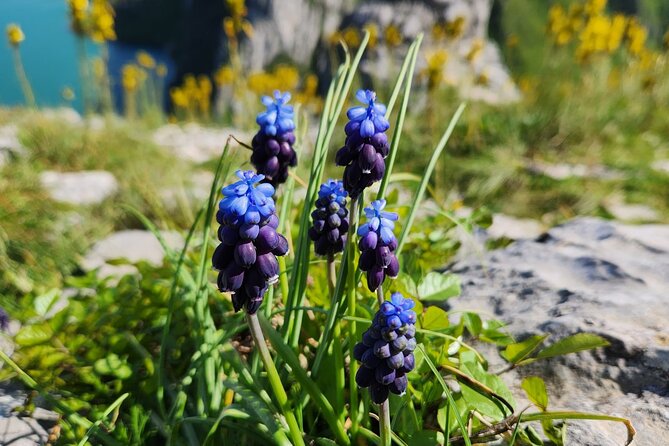 Semi – Private Tour at Cape of Rodon; Hidden Beaches & History - Skanderbeg’s castle brings Albania’s national hero into view