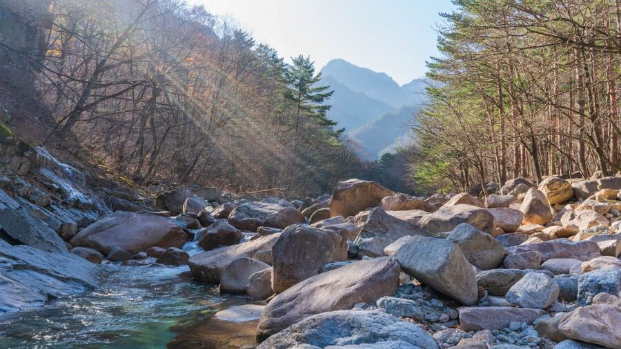 Seoul: Mt Seorak + Naksansa Temple or Nami Island Group Tour - Mt. Seorak: choose your own level of effort