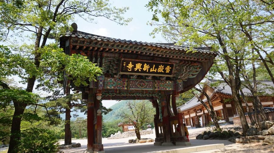 Seoul: Mt Seorak + Naksansa Temple or Nami Island Group Tour - Nami Island for an easier, more playful afternoon