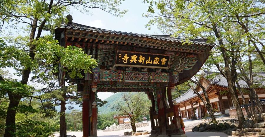 Seoul: Mt Seorak + Naksansa Temple or Nami Island Group Tour - Guides, pacing, and the freedom to wander