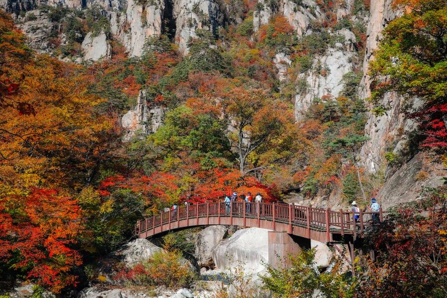 Seoul: Mt Seorak + Naksansa Temple or Nami Island Group Tour - The long ride east from Seoul