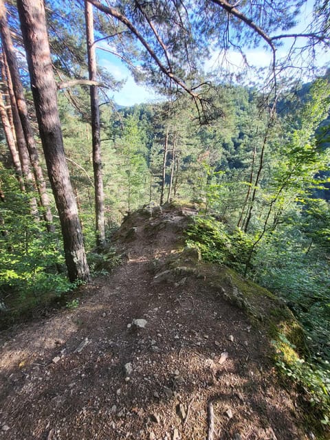 Sibiu: Cindrel Mountains Hike with Traditional Brunch - Key points to know before you book