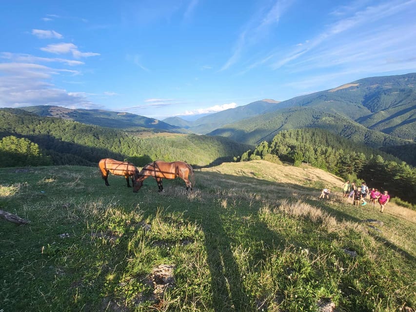 Sibiu: Cindrel Mountains Hike with Traditional Brunch - Reaching the MGS Cabin for a Transylvanian brunch