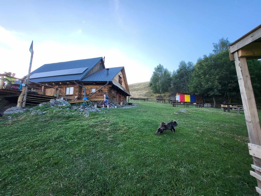 Sibiu: Cindrel Mountains Hike with Traditional Brunch - Is the $68 price good value?
