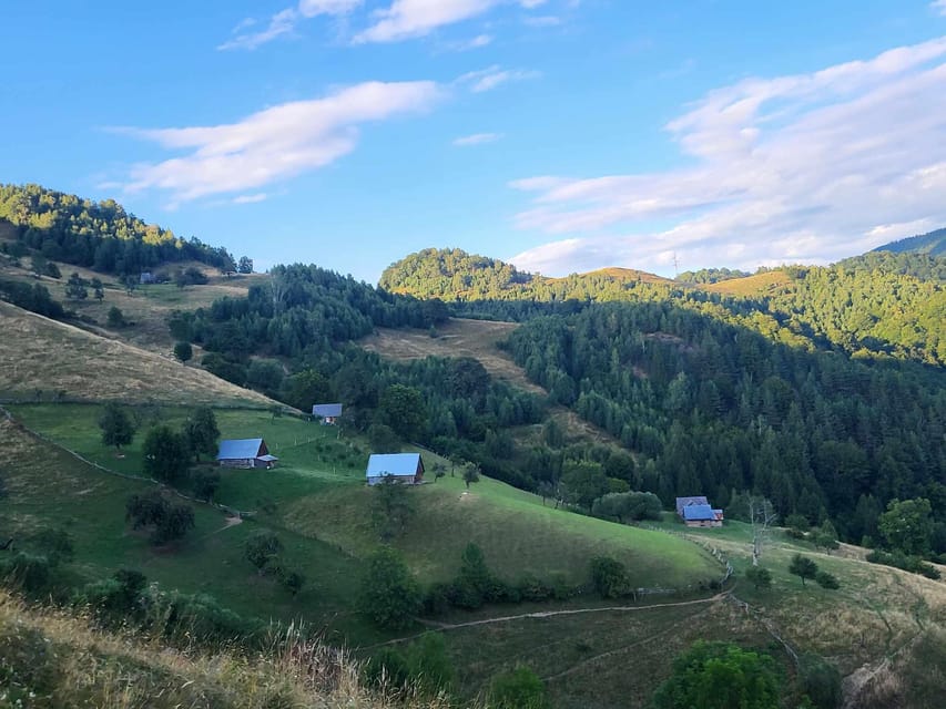 Sibiu: Cindrel Mountains Hike with Traditional Brunch - A four to five hour walk through the Cindrel Mountains