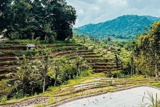 Sidemen Trekking: A Walk from a Different Perspective - Starting at Upa Boga Near Sidemen Market