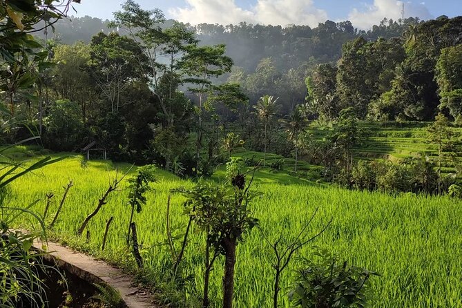 Sidemen Trekking: A Walk from a Different Perspective - How Difficult Is the Two-Hour Trek?