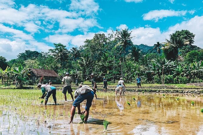 Sidemen Trekking: A Walk from a Different Perspective - What the $13 Price Really Gets You