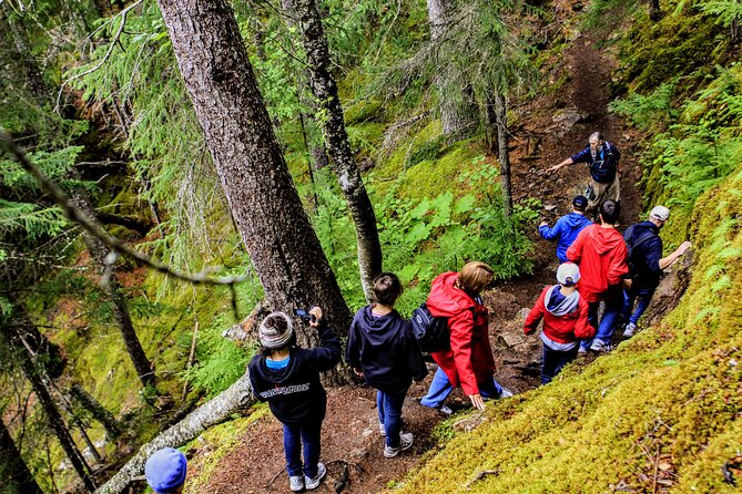 Skagway Shore Excursion Chilkoot Trail Hike and Float Tour - What the four-hour schedule feels like
