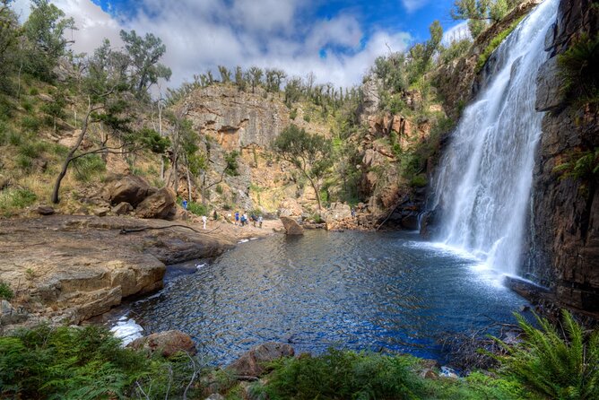 Small-Group Grampians Great Wildlife Escape Day Trip with Hiking - MacKenzie Falls is the day’s physical test