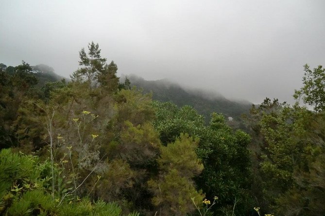 Small Group Guided Hiking in Anaga Rural Park in Tenerife - Why Anaga is worth a morning of your Tenerife trip