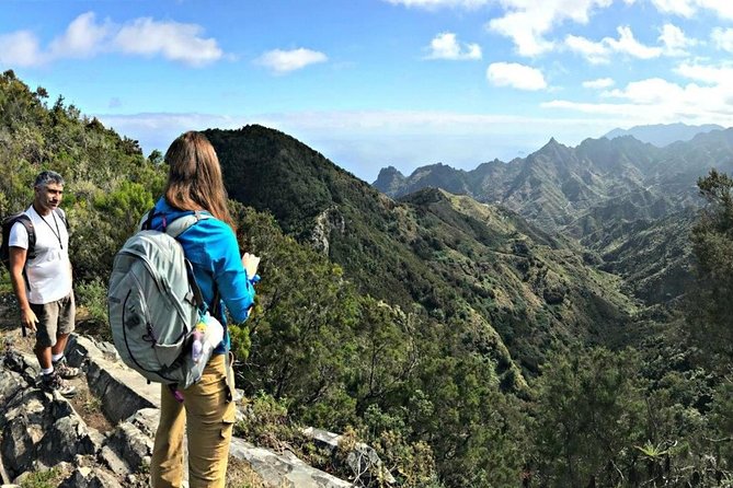 Small Group Guided Hiking in Anaga Rural Park in Tenerife - What the guide adds to the experience