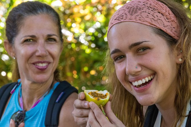 Small Group Waterfall and Rainforest Hiking Adventure on Maui - Lunch, snacks, and the value of $187.43