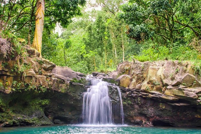 Small Group Waterfall and Rainforest Hiking Adventure on Maui - Who should book this East Maui adventure