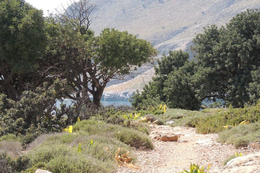 South Crete: Sarakinas Gorge Hike, Swim & Jeep Safari - Katharo Plateau brings mountain air at 1,250 meters