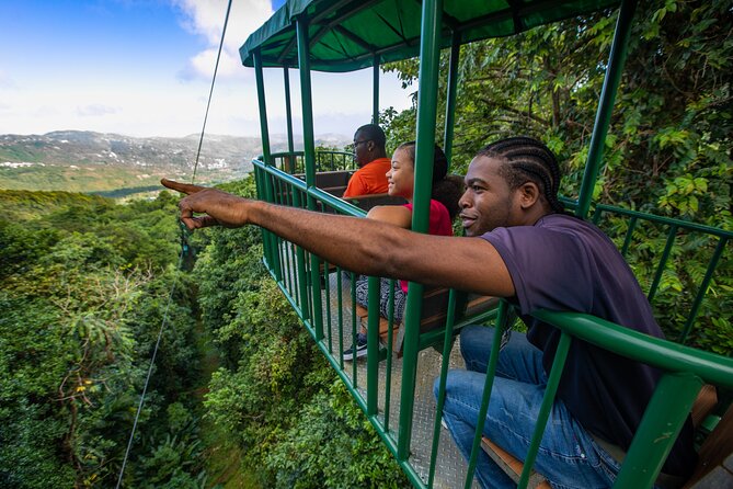 St Lucia Ultimate 3: Aerial Tram, Zipline and Hiking at Rainforest Adventures - A three-part rainforest experience near Castries