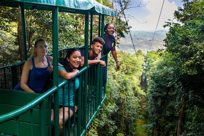 St Lucia Ultimate 3: Aerial Tram, Zipline and Hiking at Rainforest Adventures - The aerial tram gives you time to look around