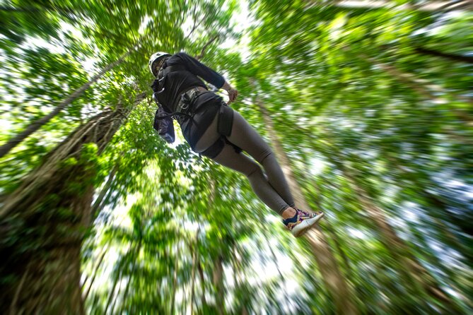 St. Lucia Zip line, Aerial Tram and Hiking tour Ultimate 3 - The uphill rainforest walk to the zipline start