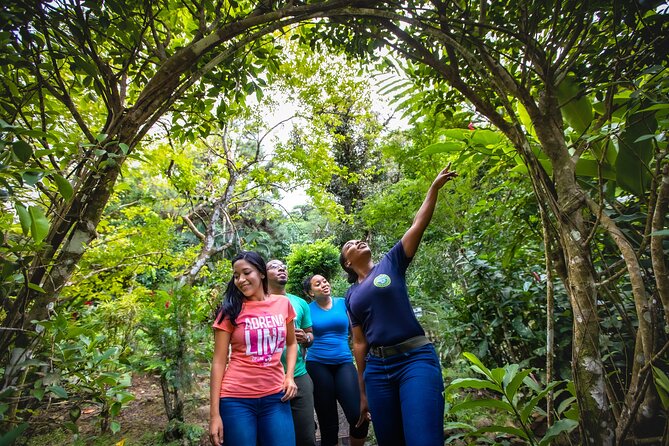 St. Lucia Zip line, Aerial Tram and Hiking tour Ultimate 3 - Eight zip lines through the treetops