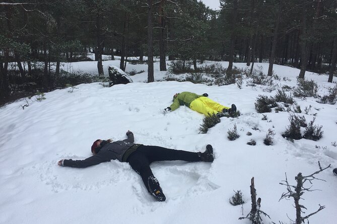 Stockholm: Nature Reserve Hiking Tour with Campfire Lunch - Key points to know before you go