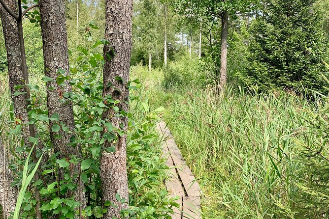Stockholm: Nature Reserve Hiking Tour with Campfire Lunch - What the guide adds to the experience