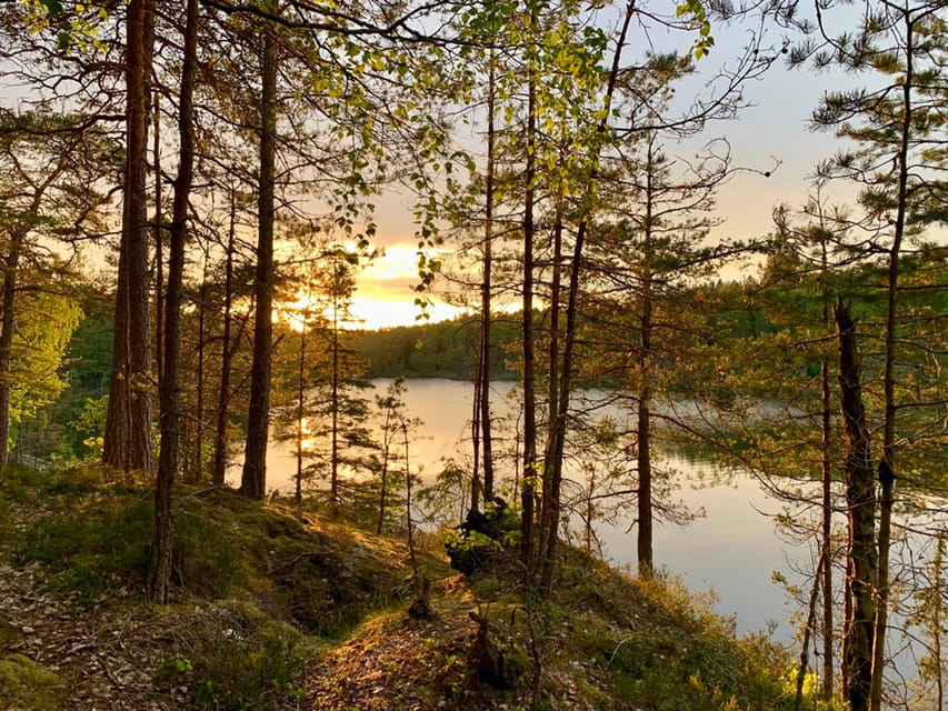 Stockholm: Sunset Hike in Tyresta National Park with Meal - Final verdict: should you book it?