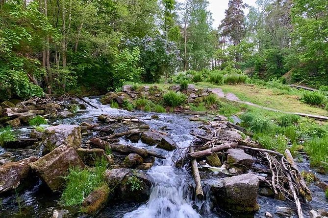 Stockholm: Sunset Hike in Tyresta National Park with Meal - What to wear and pack for Tyresta