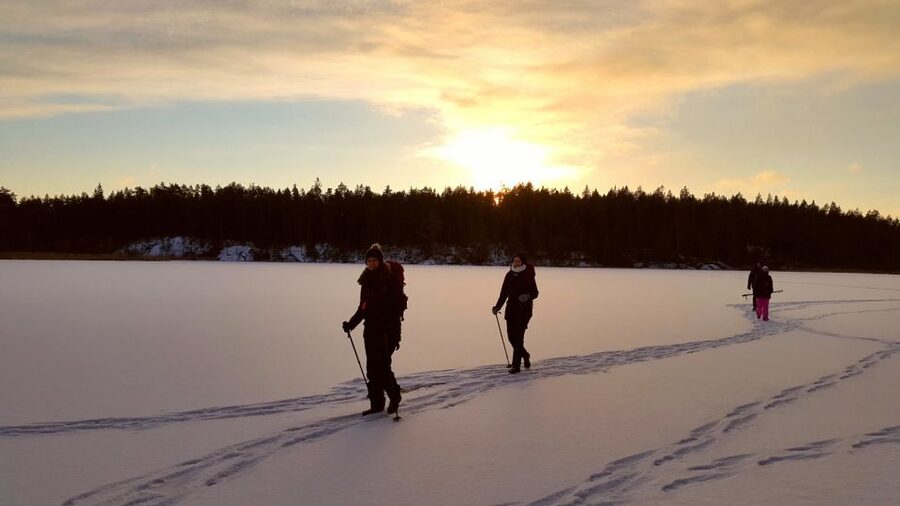 Stockholm: Winter Snowshoe Full-Day Hike - Key points at a glance