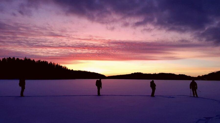 Stockholm: Winter Snowshoe Full-Day Hike - Is this Stockholm winter hike worth booking?