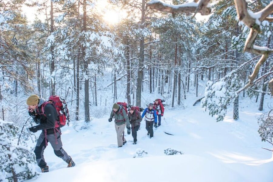 Stockholm: Winter Snowshoe Full-Day Hike - Leaving central Stockholm for winter woods