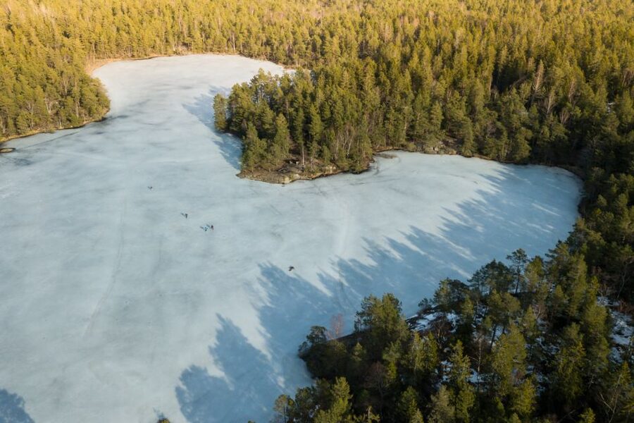 Stockholm: Winter Snowshoe Full-Day Hike - Forest trails, deer tracks, and Swedish ecology