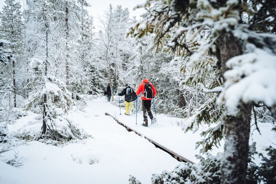 Stockholm: Winter Snowshoe Full-Day Hike - What the $176 price covers