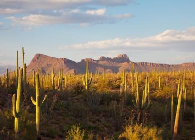 Stunning Sunset or Sunrise Guided Hiking Adventure in Phoenix - Key points to know before you book
