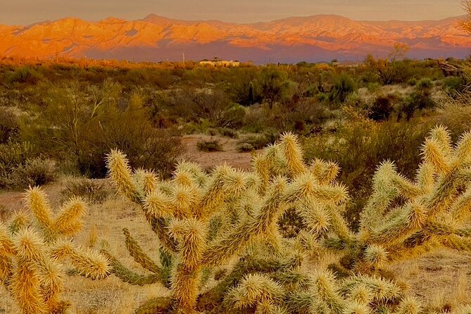 Stunning Sunset or Sunrise Guided Hiking Adventure in Phoenix - Why this short Phoenix hike works so well