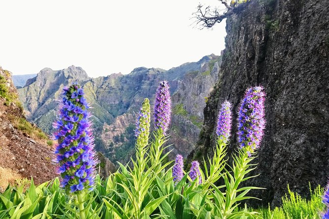 Sunrise Guided Hike PR1 Pico do Areeiro Pico Ruivo small group - Pickup from Funchal and Caniço before sunrise
