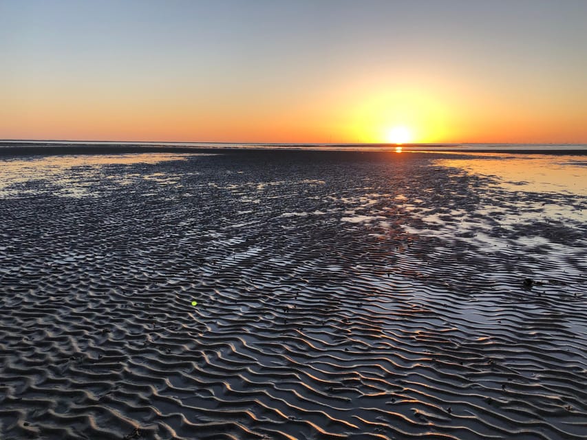 Sylt: Guided Mudflat Hike on the Island - Why a mudflat walk belongs on a Sylt visit