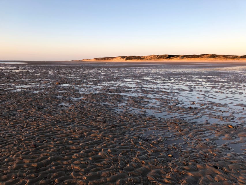 Sylt: Guided Mudflat Hike on the Island - Final decision: should you book it?