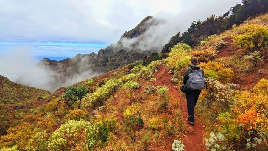 Tenerife: Anaga Mountains & Enchanted Forest Hiking Tour - At a glance: what makes this Anaga day special