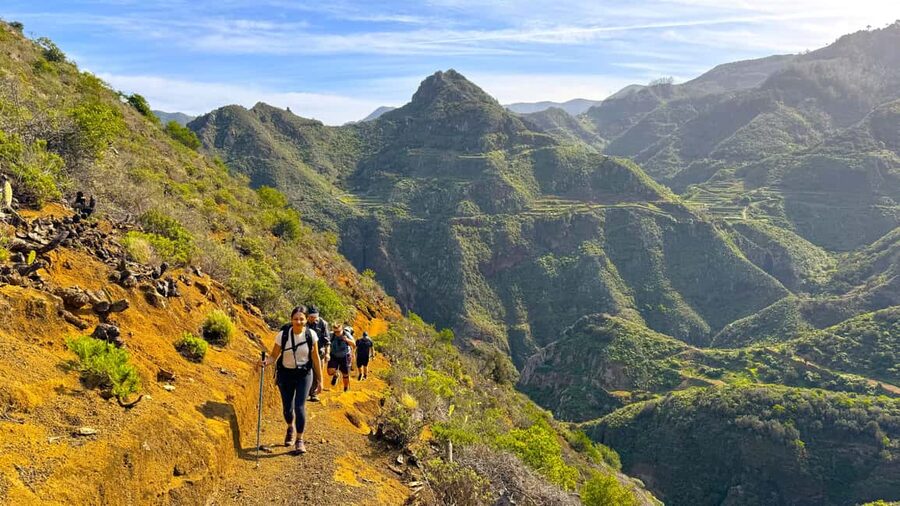 Tenerife: Anaga Mountains & Enchanted Forest Hiking Tour - A picnic that earns its place