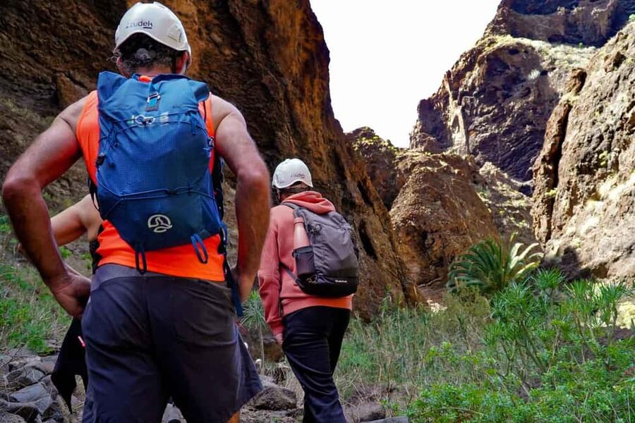 Tenerife Barranco de Masca: Guided hike + boat ride + transport - The boat ride to Los Gigantes Marina
