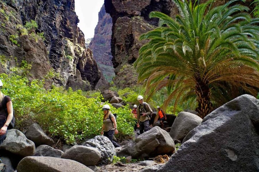 Tenerife Barranco de Masca: Guided hike + boat ride + transport - Starting in Santiago del Teide