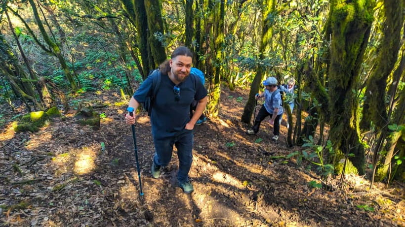 Tenerife: Hike Above Masca in Enchanted Forest with Pick-up - Why this Masca hike is different