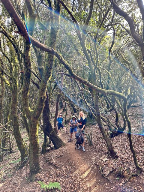 Tenerife: Hike Above Masca in Enchanted Forest with Pick-up - Photos and the practical value of $104