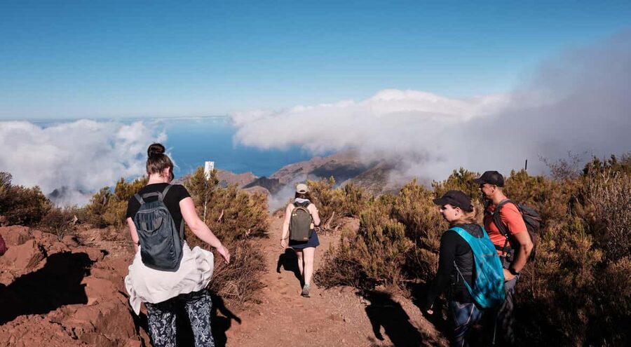 Tenerife: Hike Above Masca in Enchanted Forest with Pick-up - Pickup from Los Cristianos to Los Gigantes