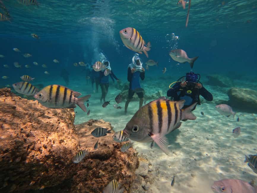 Tenerife: Underwater Walk - Sea Trek Experience - Key points before you book