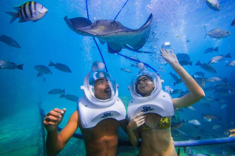 Tenerife: Underwater Walk - Sea Trek Experience - Starting at Paseo Aquilino in Los Cristianos