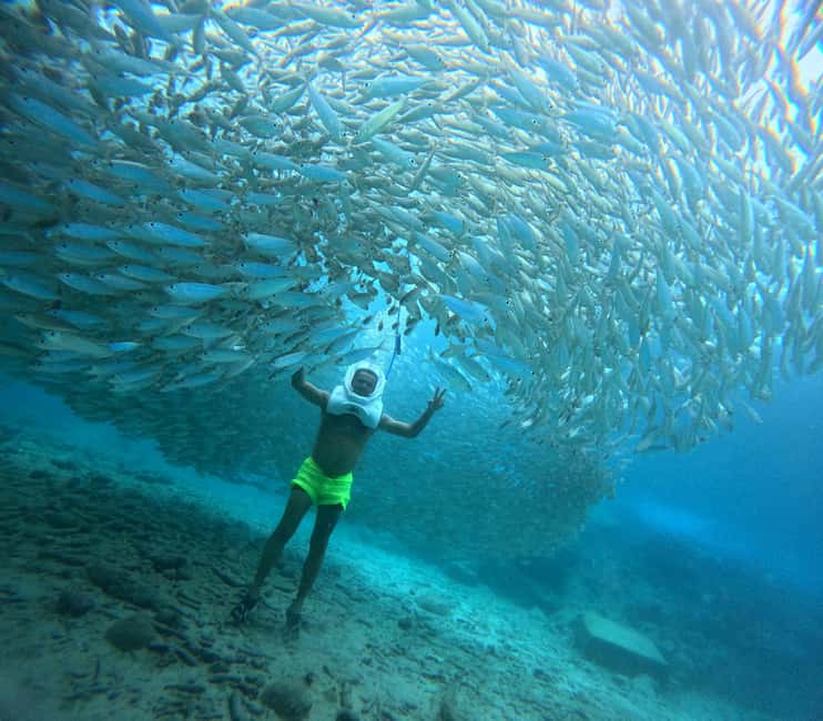 Tenerife: Underwater Walk - Sea Trek Experience - The eight-minute walk to the water