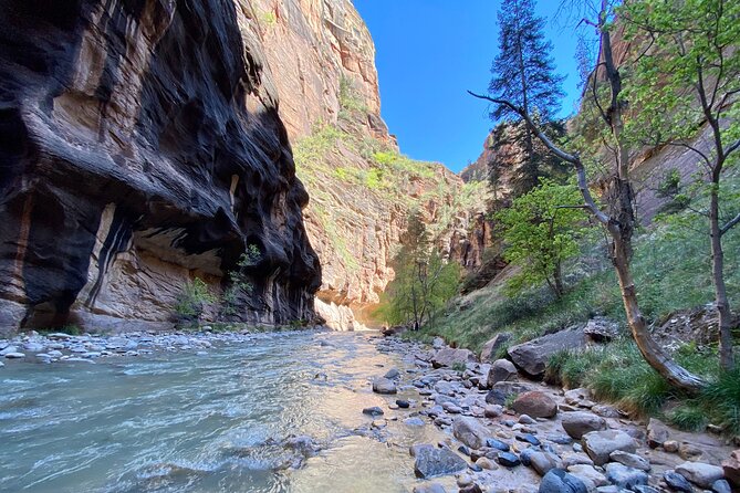 The Narrows: Zion National Park Private Guided Hike - What the guides add to the day